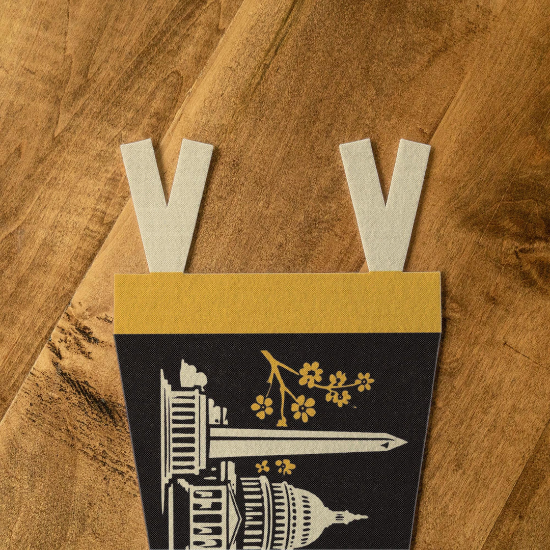 Washington DC Felt Pennant