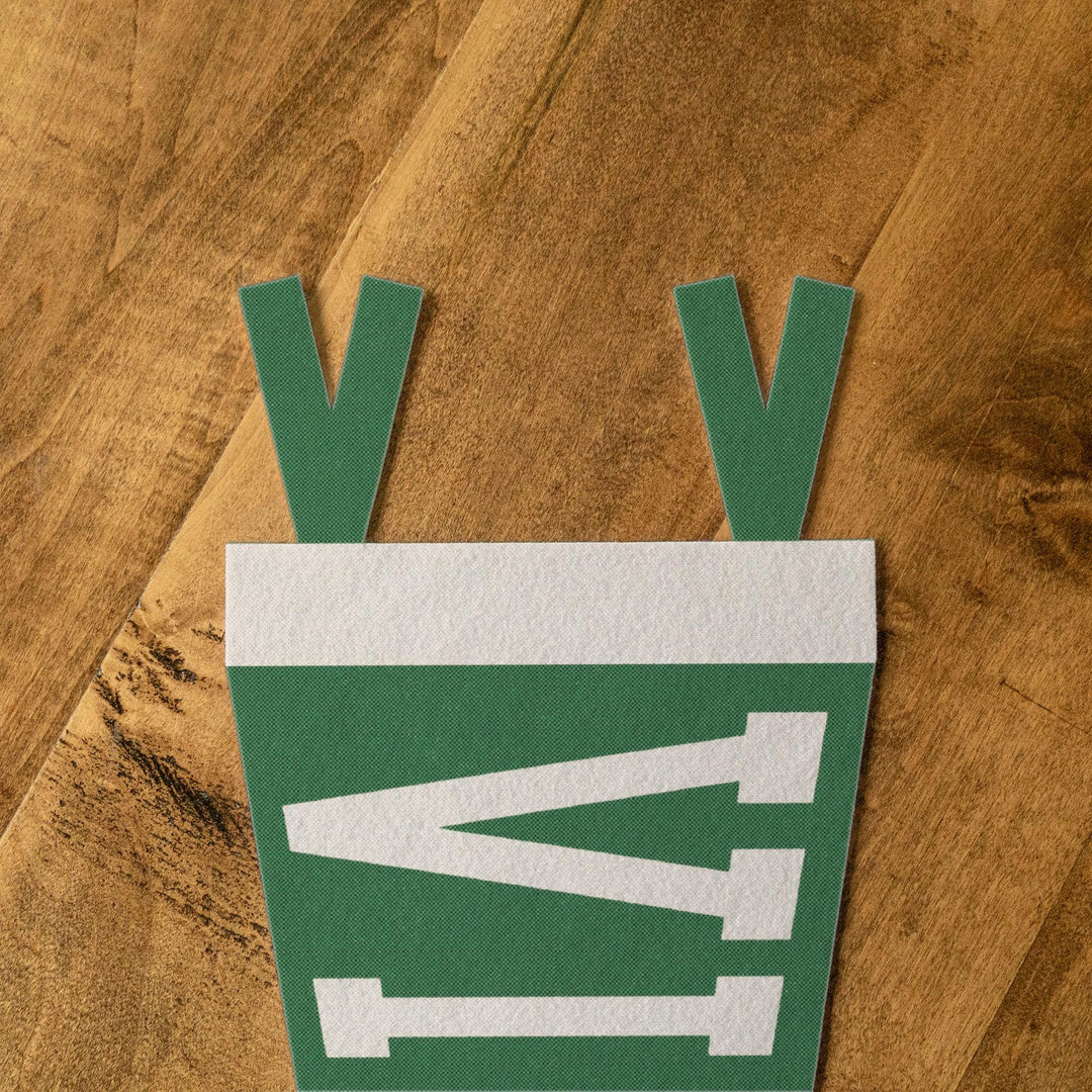Virginia Varsity Felt Pennant