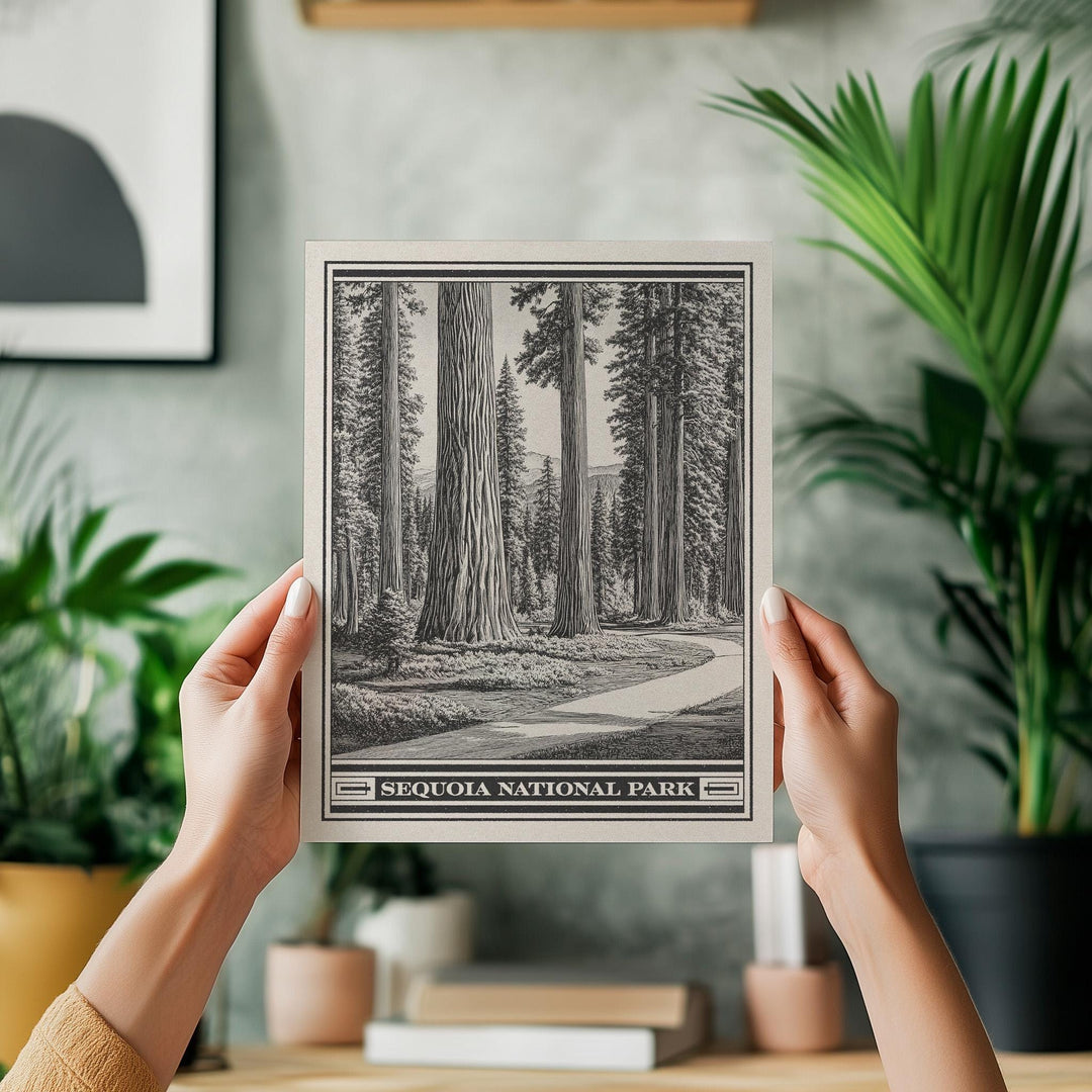 Sequoia National Park Lithograph Style Print - Vintage California archival matte fine art print. Giant Forest Sierra Nevada Mountains Gift.