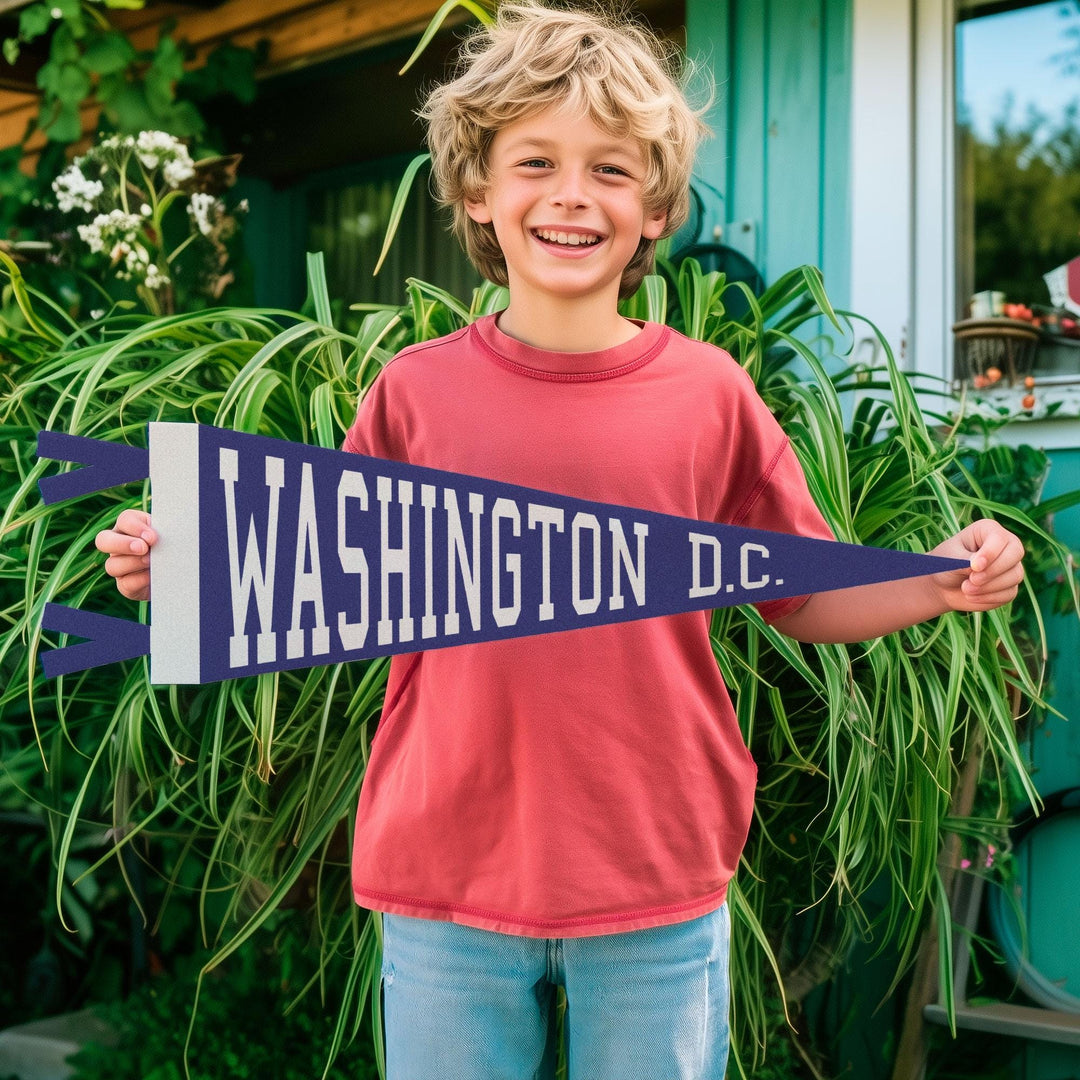 Washington DC Varsity Felt Pennant
