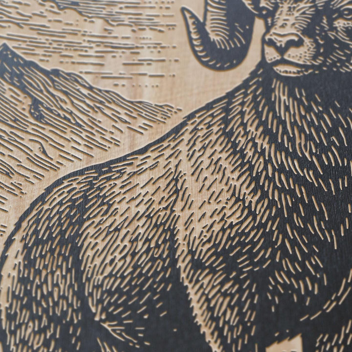 Bighorn Ram on Rocky Ledge Engraved Birch Art Panel