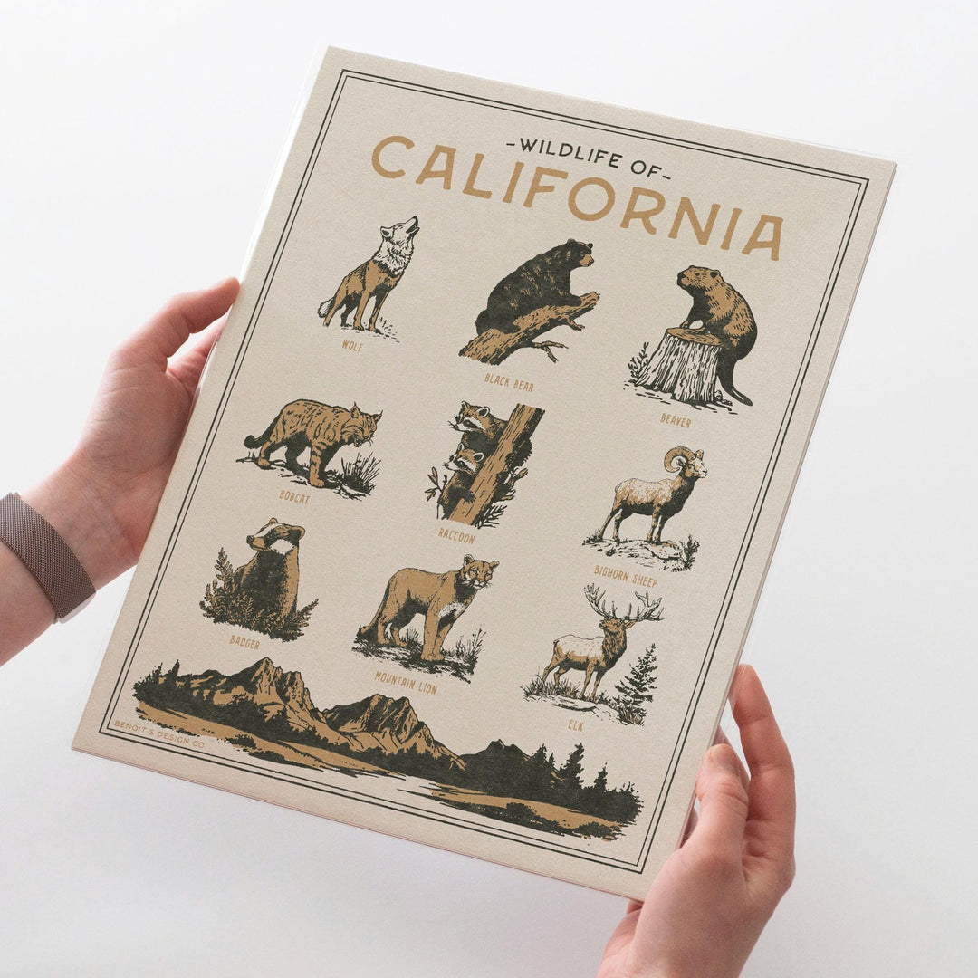 California Wildlife Print