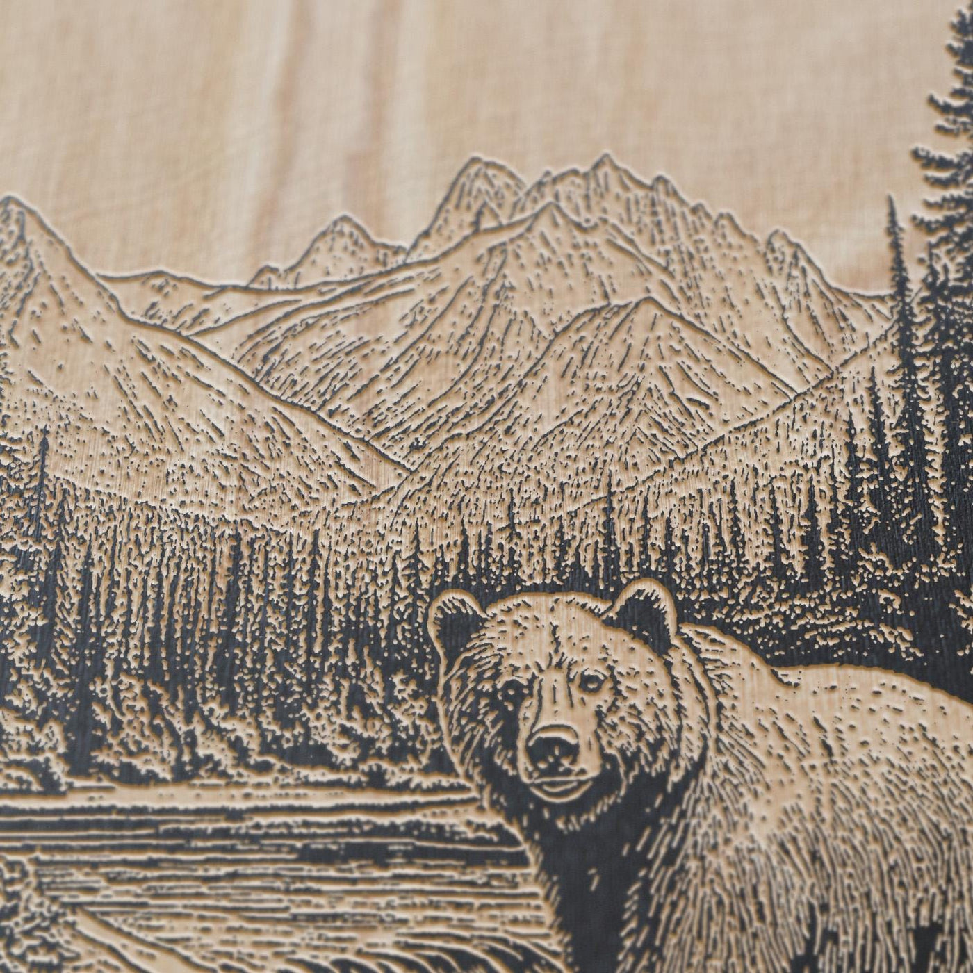 Grizzly Bear in a River Wall Art
