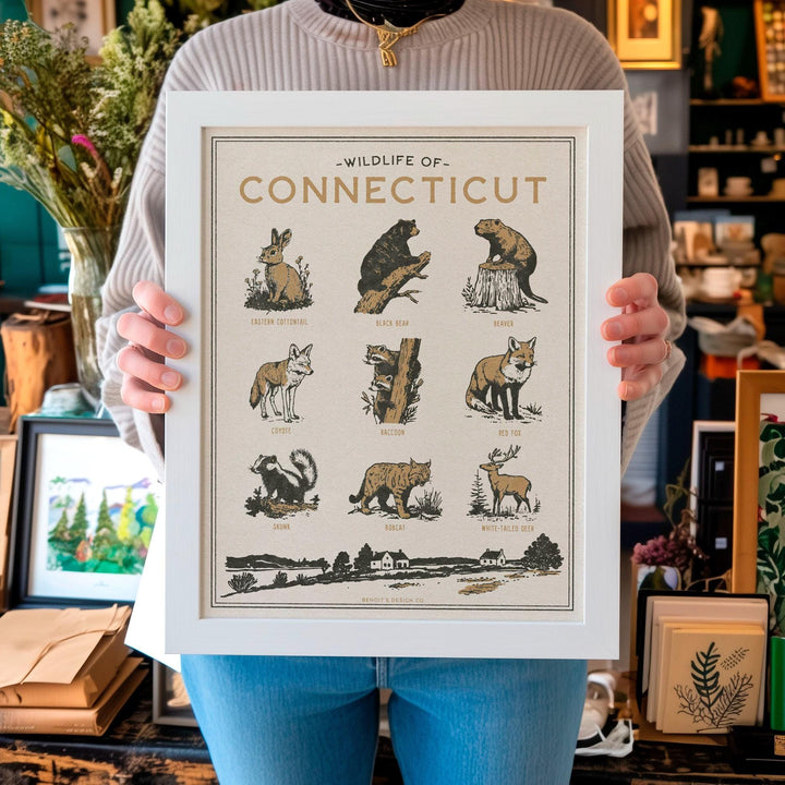 Connecticut Wildlife Print