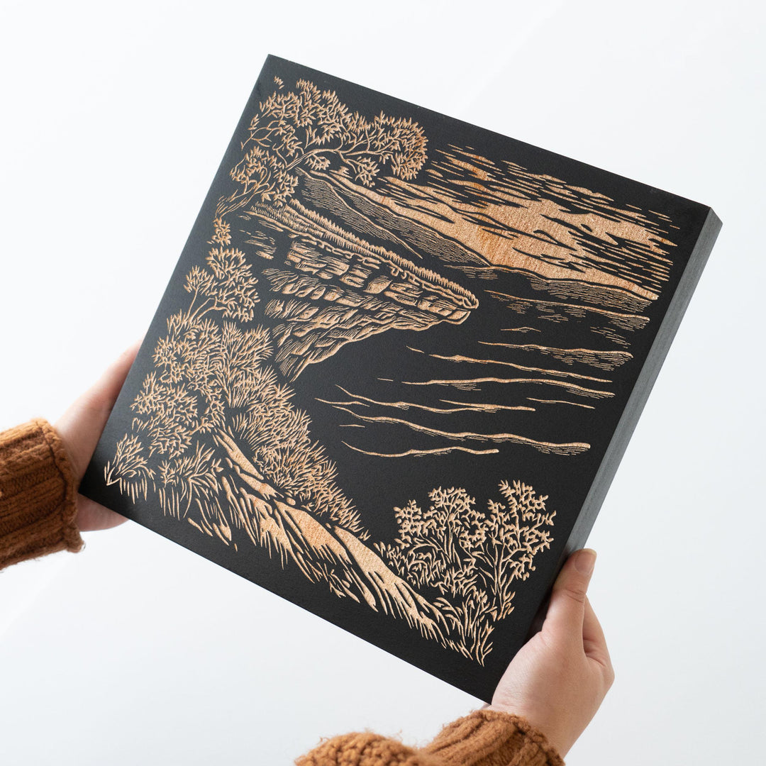 Arkansas Whitaker Point Engraved Illustration