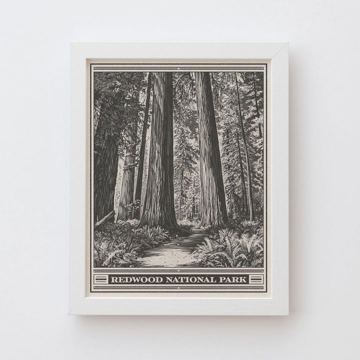 Redwood National Park Lithograph Style Print - Vintage California archival matte fine art print. Jedediah Smith Prairie Creek Redwoods Gift
