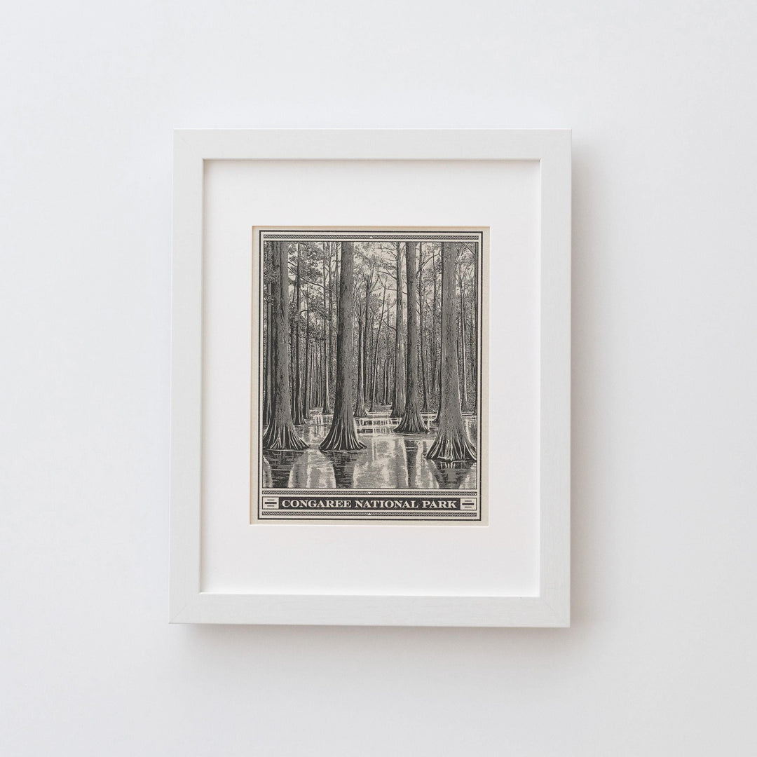 Congaree National Park Lithograph Style Print - Vintage South Carolina archival matte fine art print. Wateree Rivers. Southern State gift