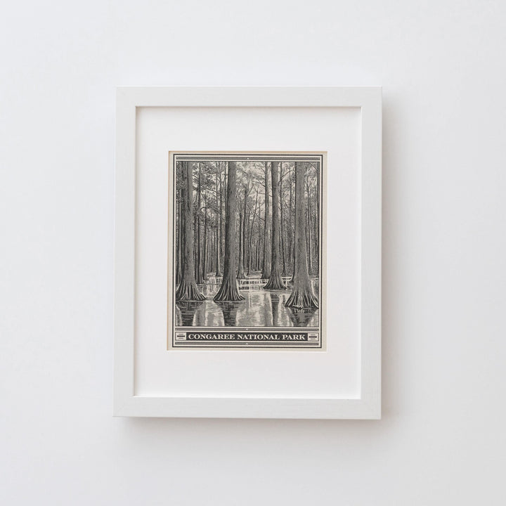 Congaree National Park Lithograph Style Print - Vintage South Carolina archival matte fine art print. Wateree Rivers. Southern State gift