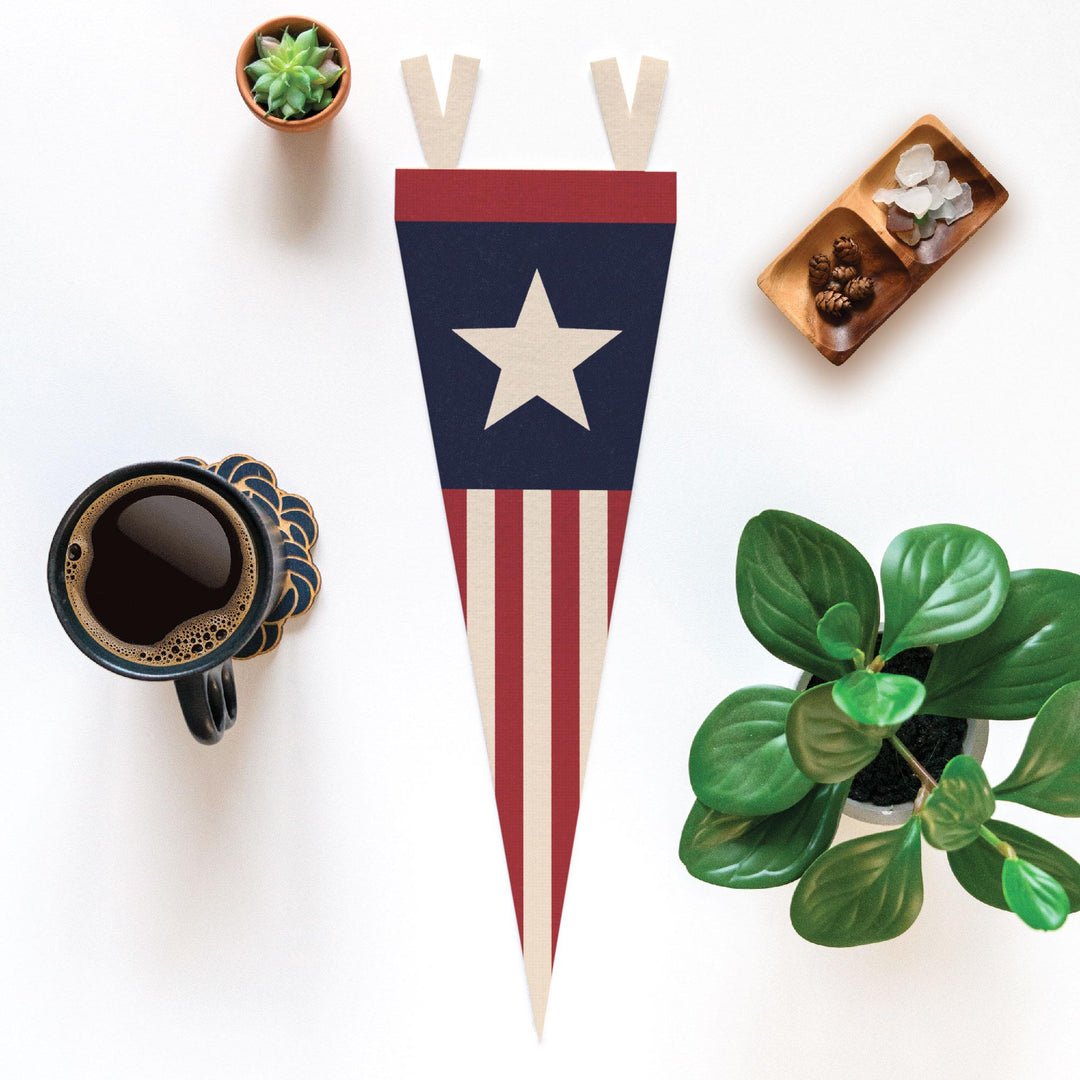 Stars &amp; Stripes Felt Pennant