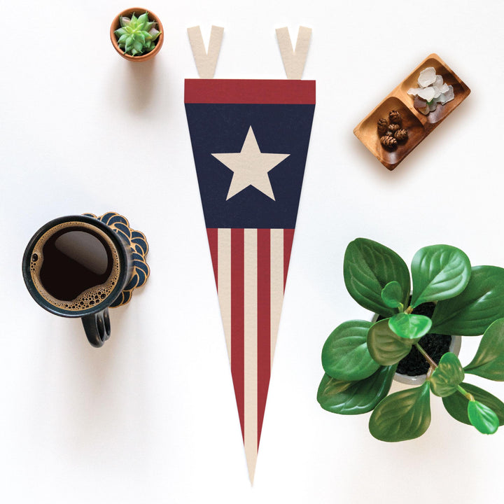 Stars &amp; Stripes Felt Pennant