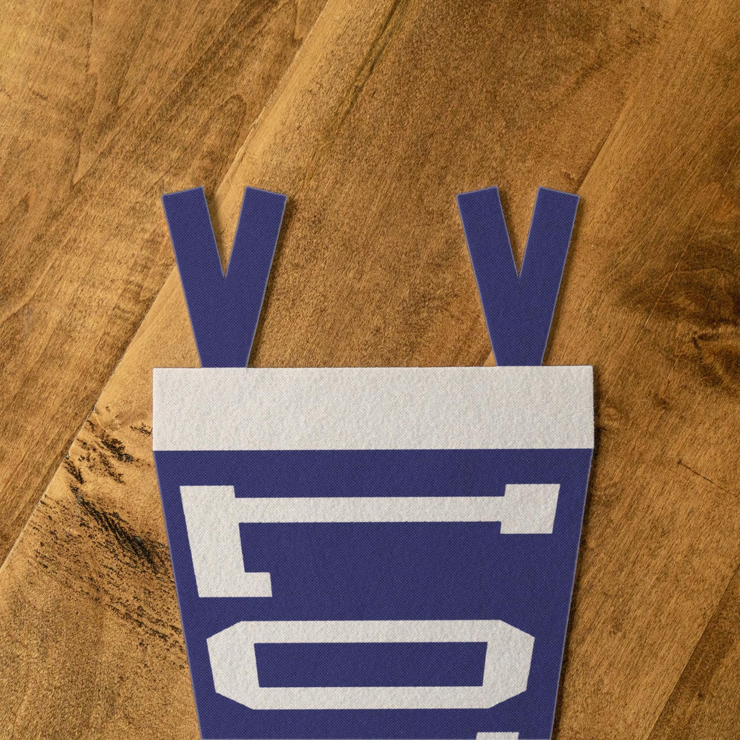 Louisiana Varsity Felt Pennant