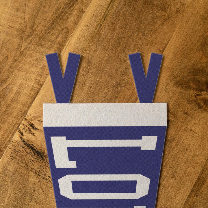Louisiana Varsity Felt Pennant