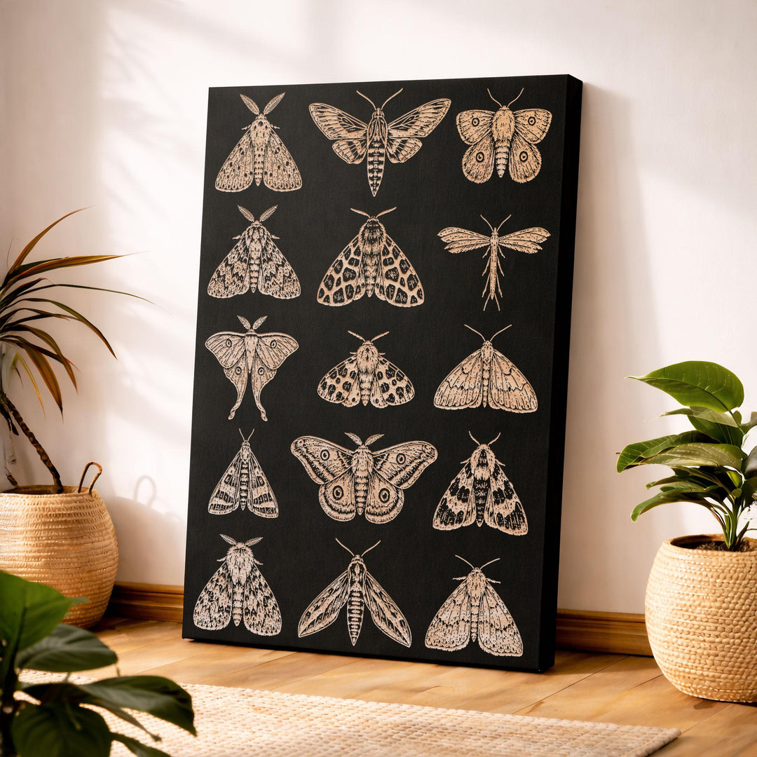 Moths Engraved Birch Art Panel