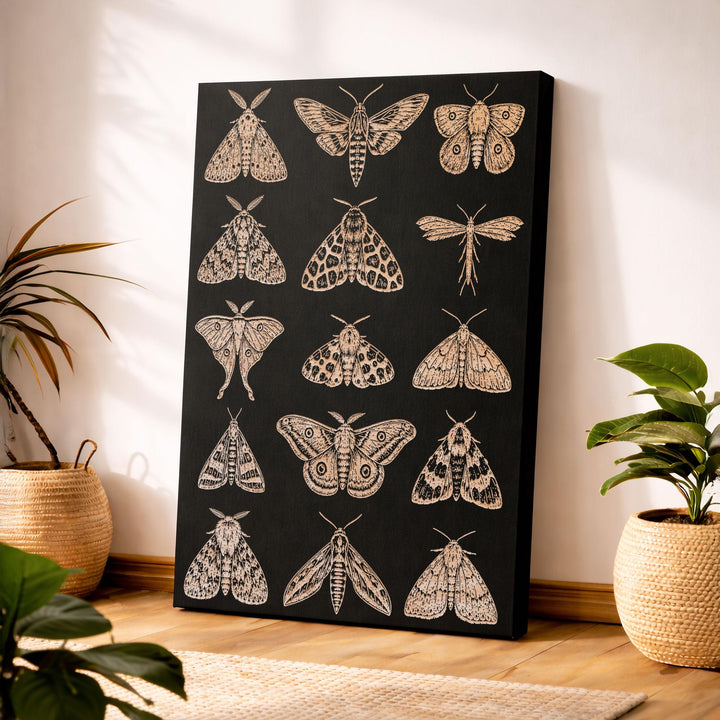 Moths Engraved Birch Art Panel