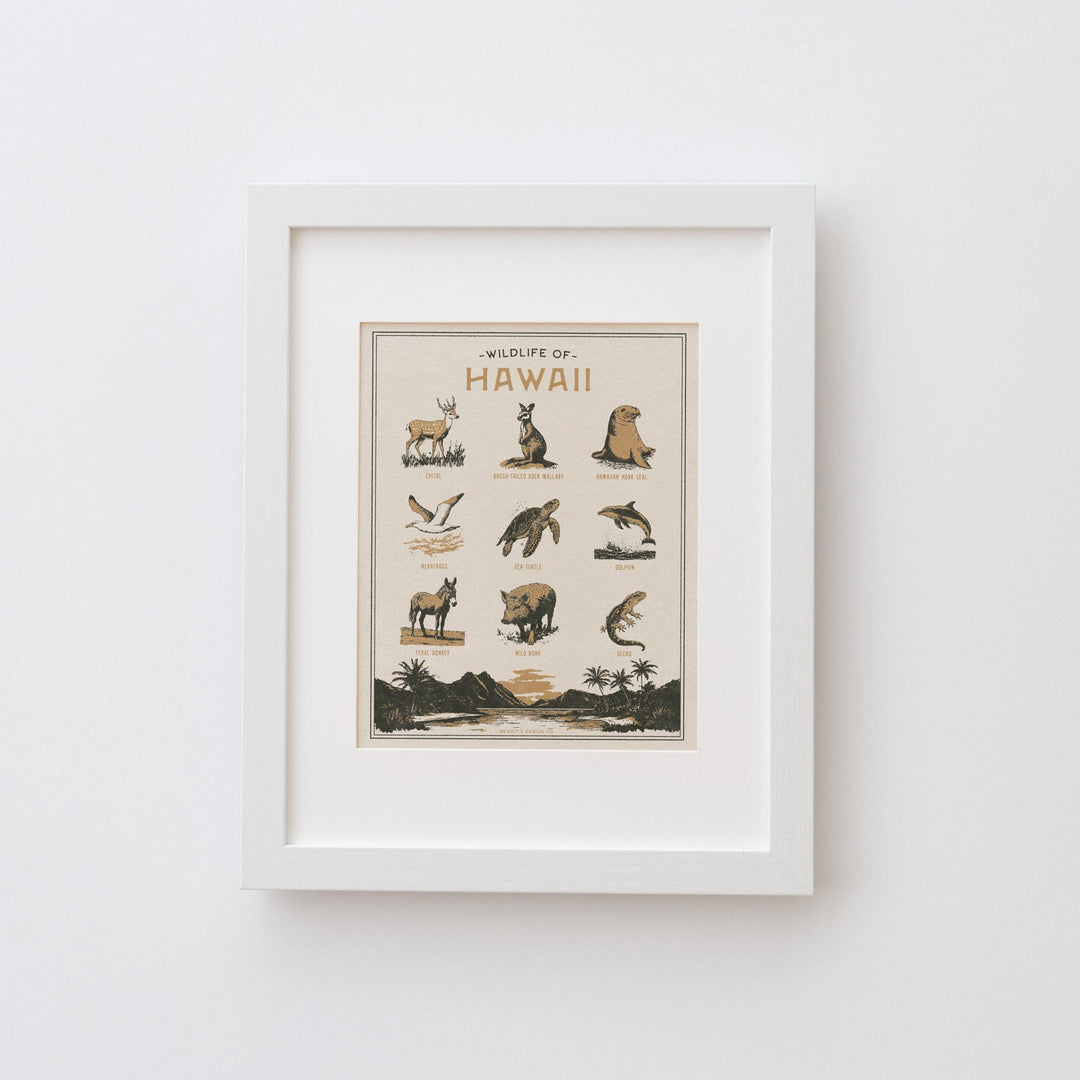 Hawaii Wildlife Print