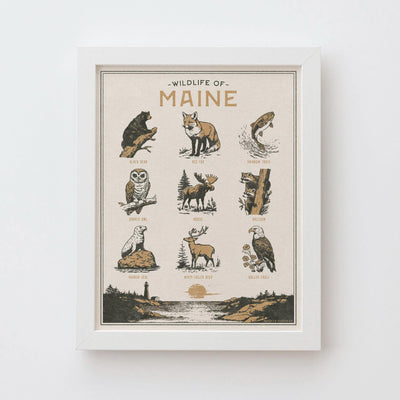 Maine Wildlife Wall Art Print