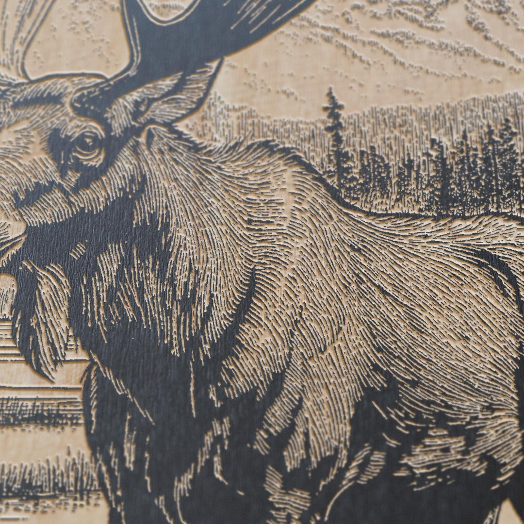 Moose in a Bog Engraved Illustration
