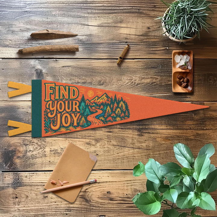 Find Your Joy Felt Pennant