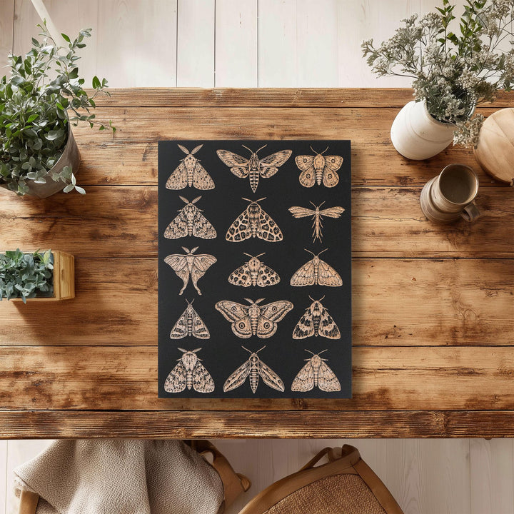 Moths Engraved Birch Art Panel