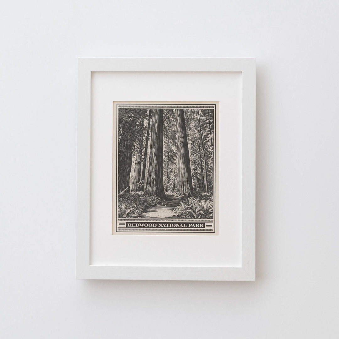 Redwood National Park Lithograph Style Print - Vintage California archival matte fine art print. Jedediah Smith Prairie Creek Redwoods Gift