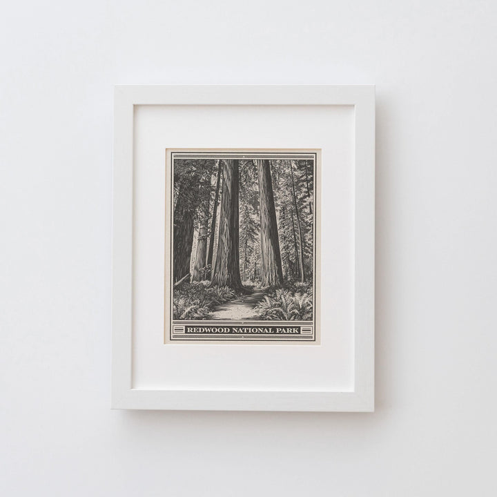Redwood National Park Lithograph Style Print - Vintage California archival matte fine art print. Jedediah Smith Prairie Creek Redwoods Gift