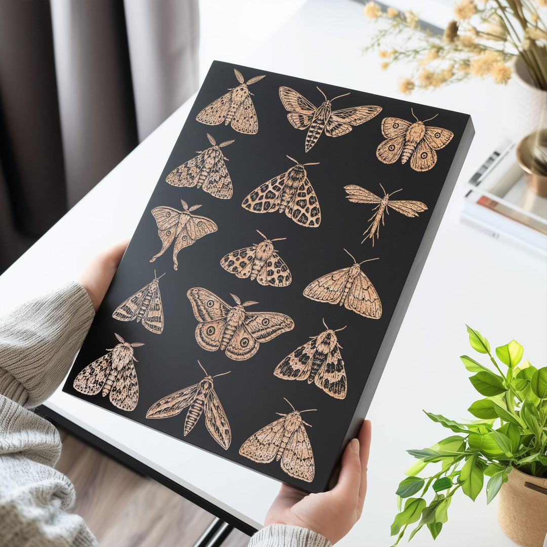 Moths Engraved Birch Art Panel