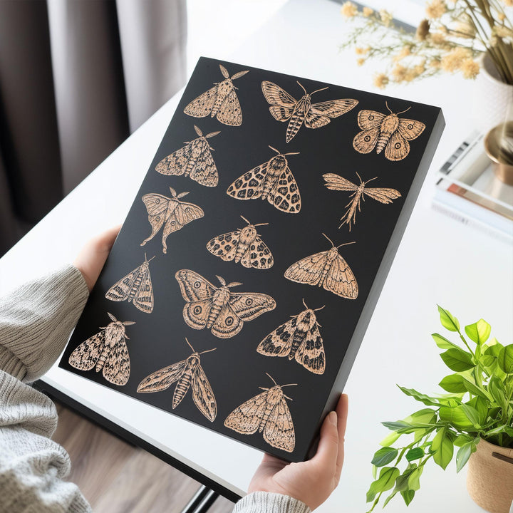 Moths Engraved Birch Art Panel