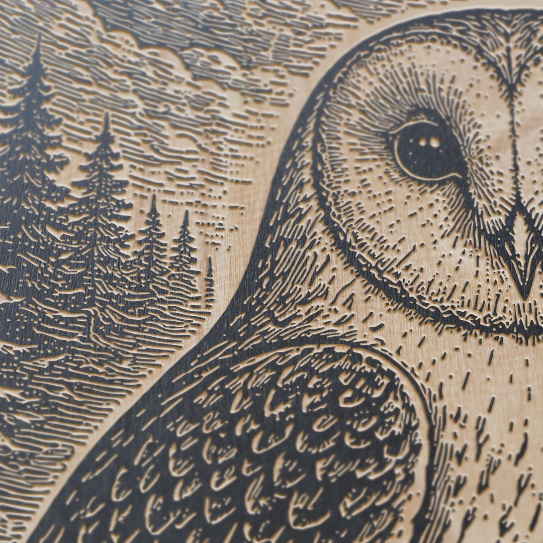 Barn Owl in Starry Night Engraved Birch Art Panel