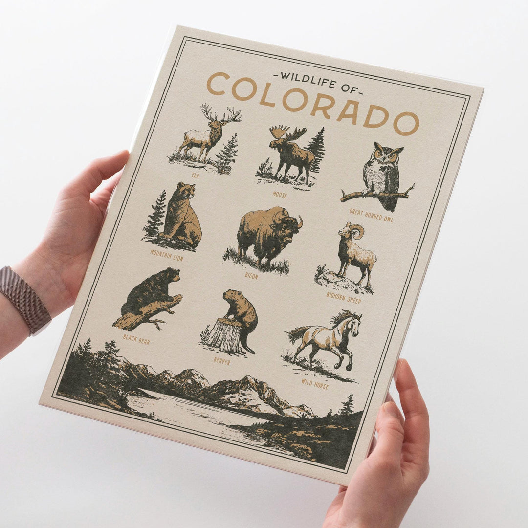 Colorado Wildlife Print