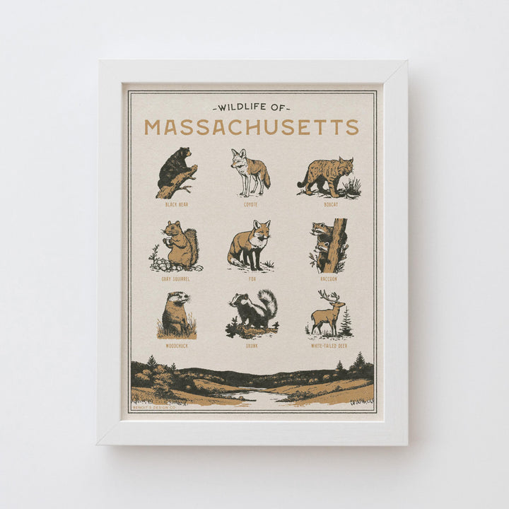 Massachusetts Wildlife Print