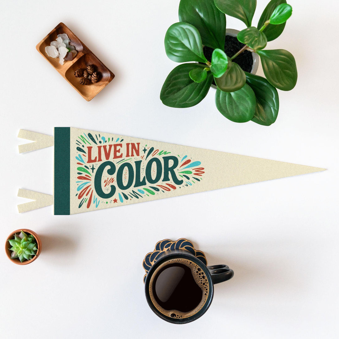 Live In Color Felt Pennant