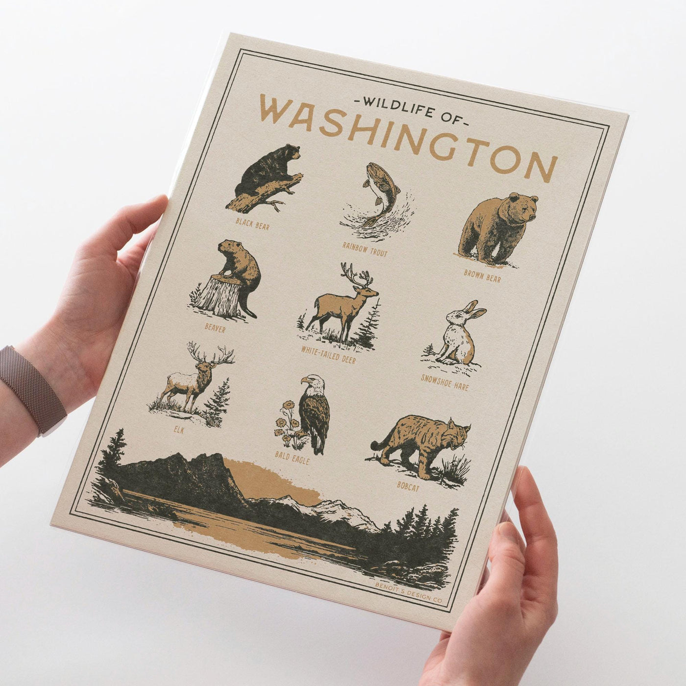Washington Wildlife Print