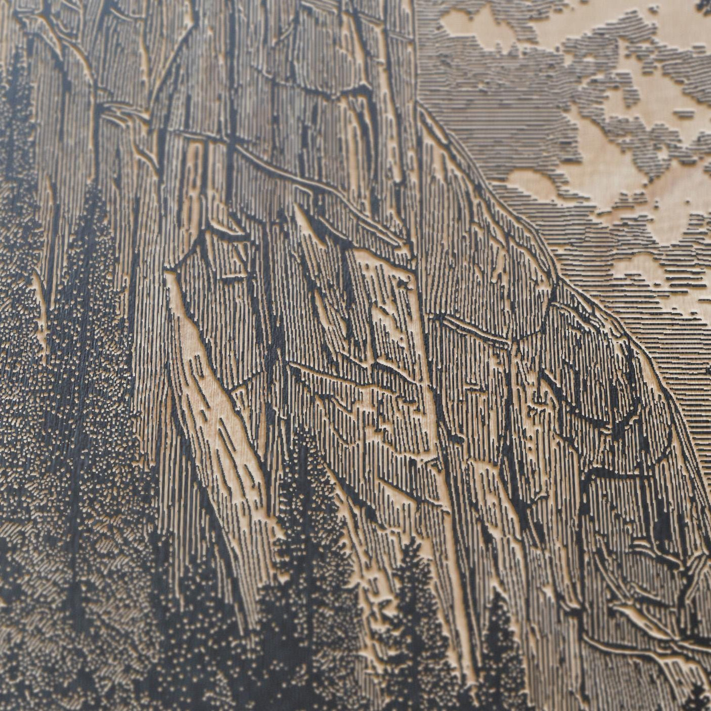 El Capitan Yosemite Scene Engraved Illustration