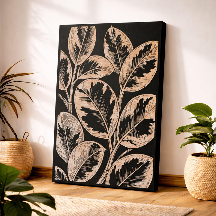 Ficus elastica &
