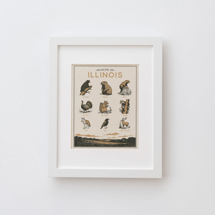 Illinois Wildlife Print