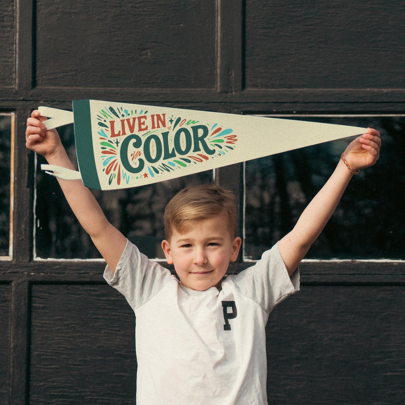 Live In Color Felt Pennant