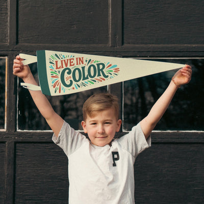 Live In Color Felt Pennant