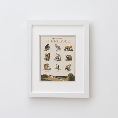Tennessee Wildlife Print