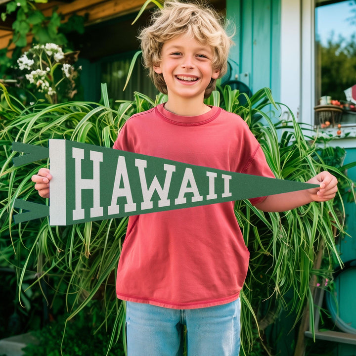 Hawaii Varsity Felt Pennant