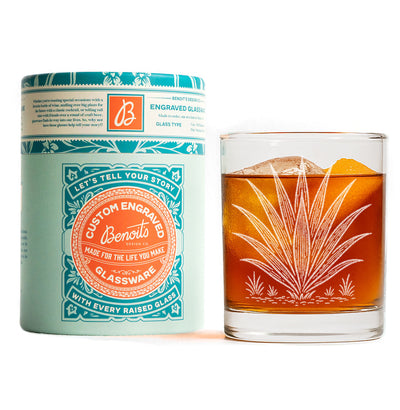 Agave Plant Glasses