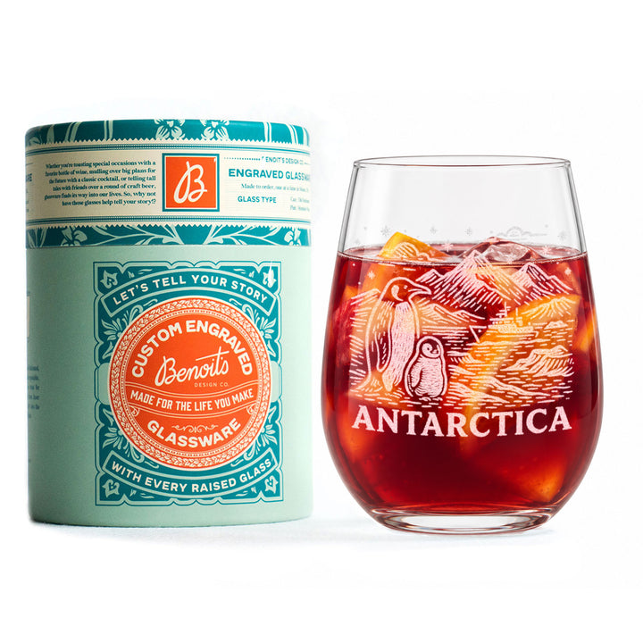 Antarctica Glasses