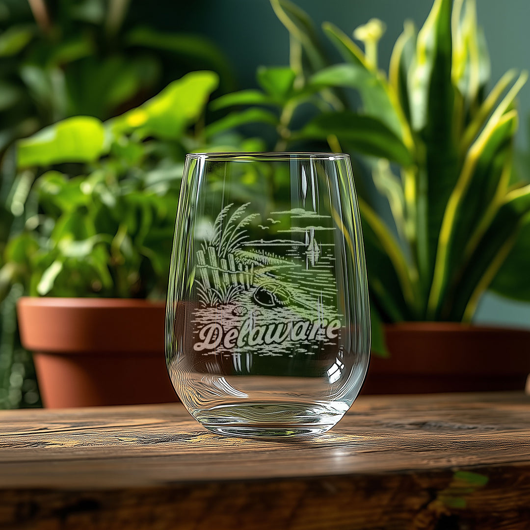 Delaware State Glasses