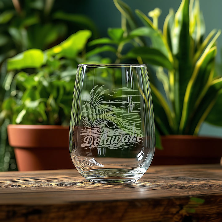 Delaware State Glasses