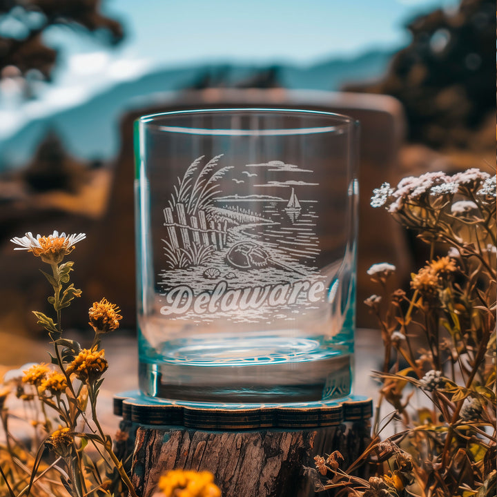 Delaware State Glasses