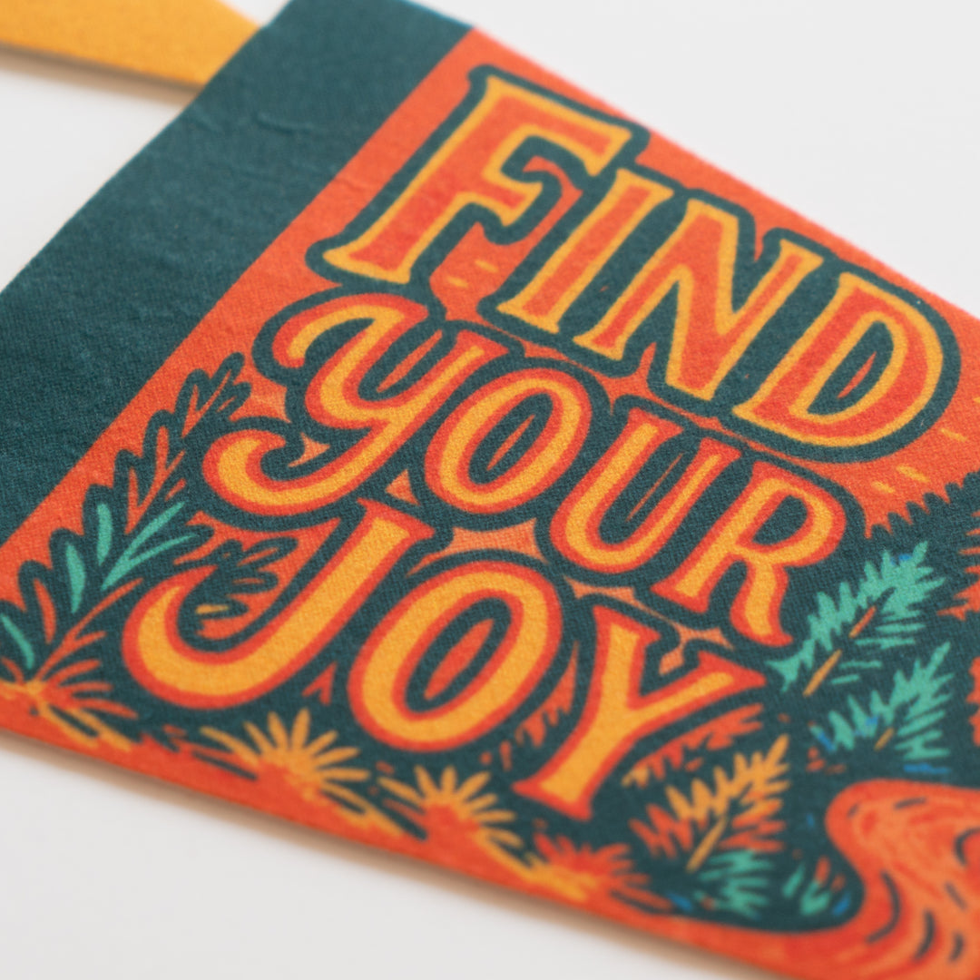 Find Your Joy Felt Pennant