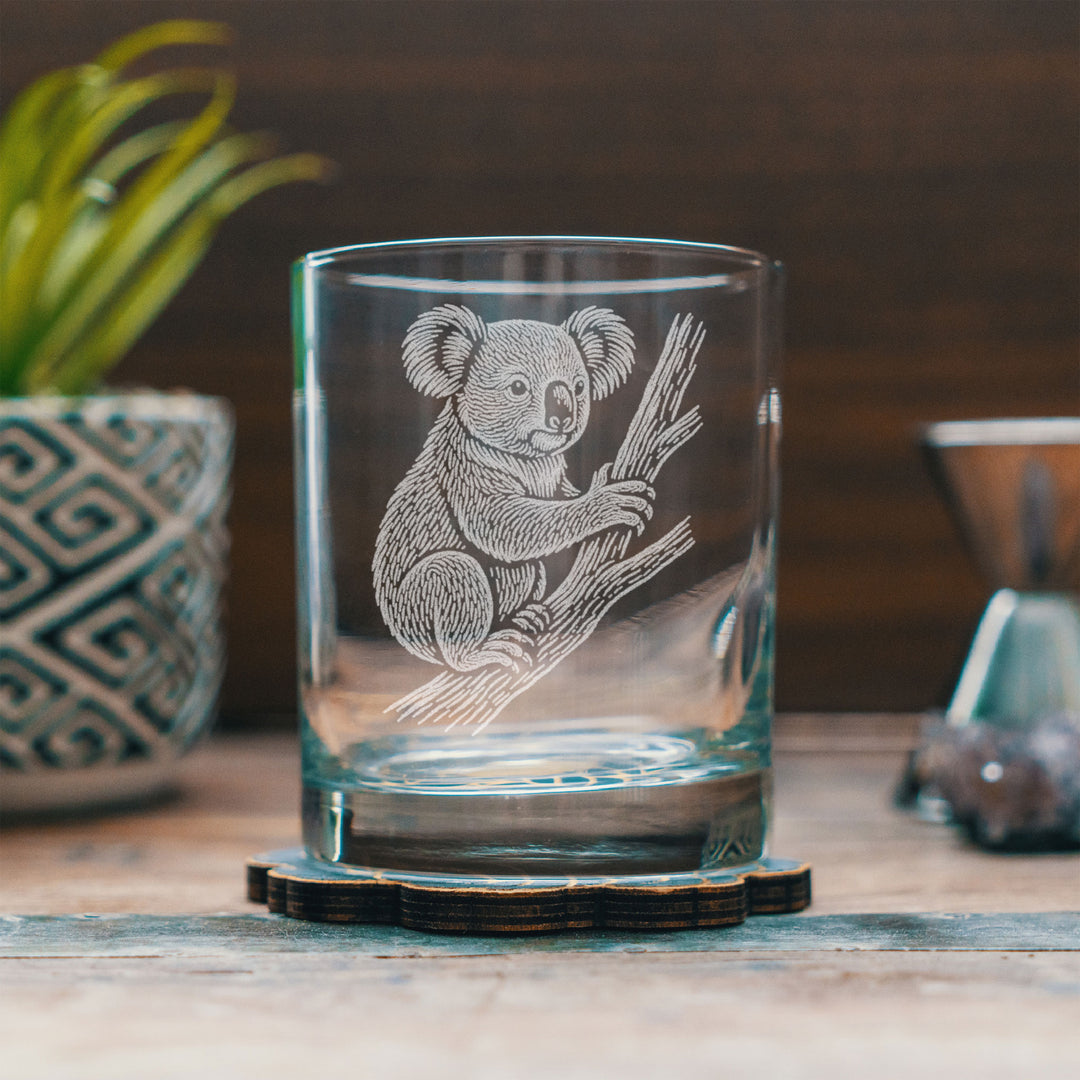 Koala Glasses