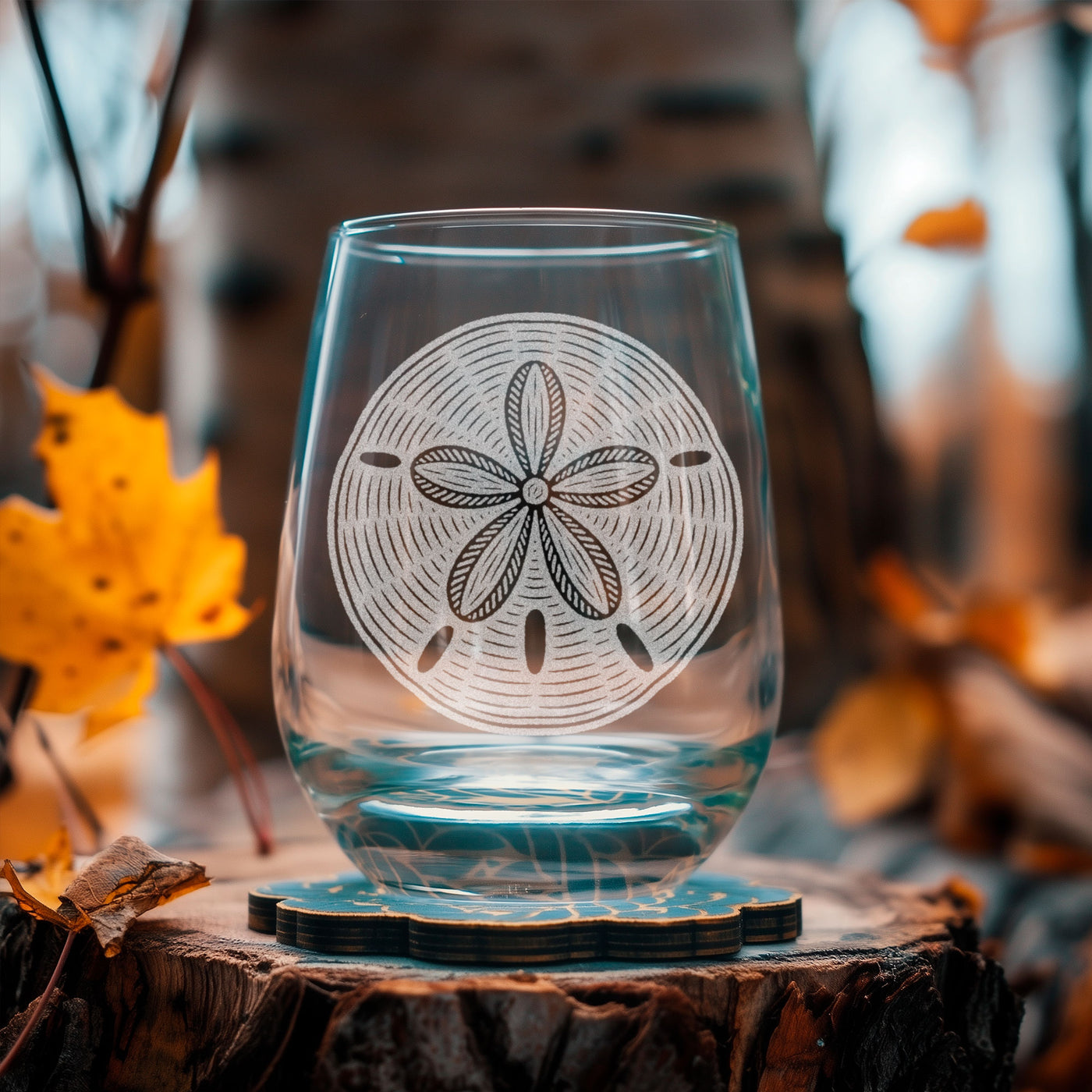Sand Dollar Glasses