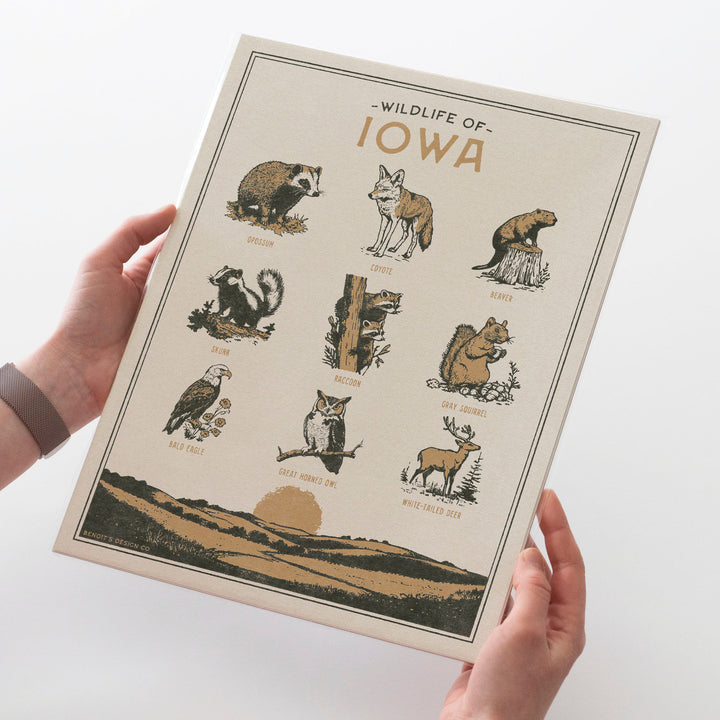 Iowa Wildlife Print