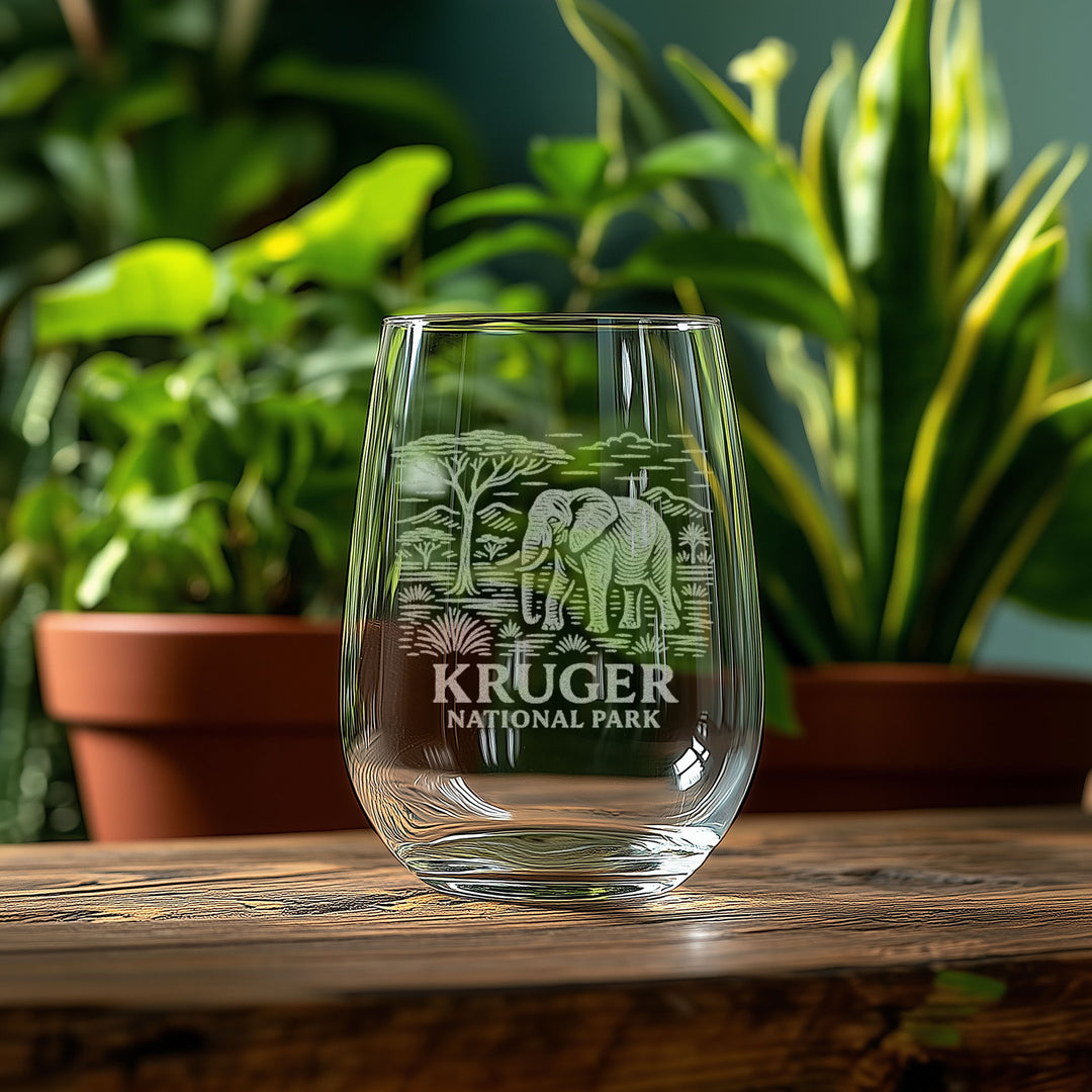 Kruger National Park South Africa Glasses