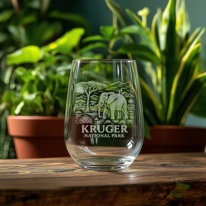 Kruger National Park South Africa Glasses